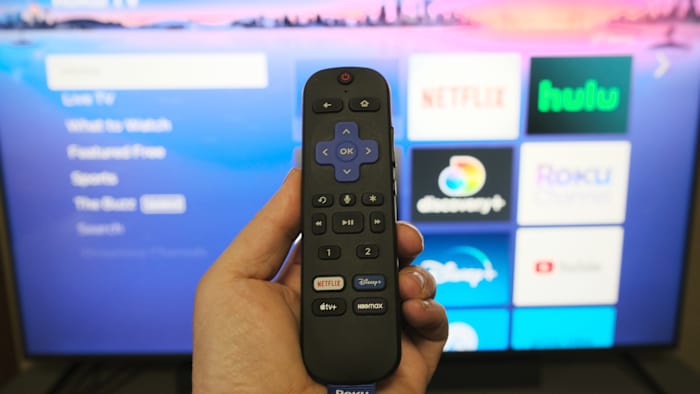 2-Roku Plus Series Review